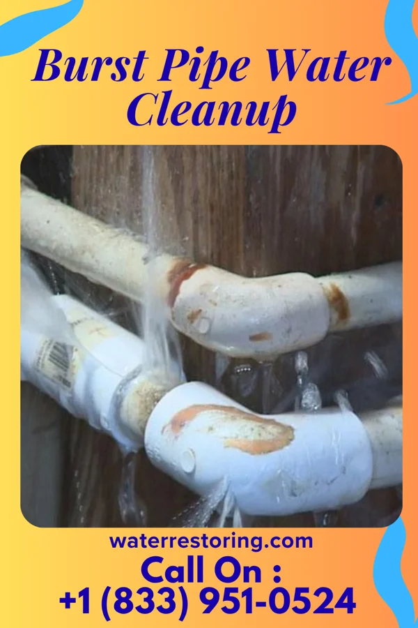 Burst Pipe Water Cleanup in Ambler, PA