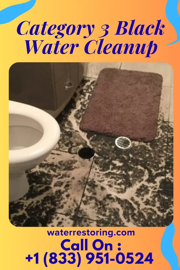 Category 3 Black Water Cleanup in Ambler, PA
