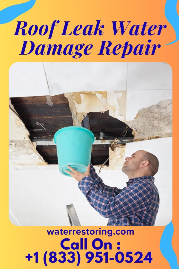 Roof Leak Water Damage Repair in Ambler, PA