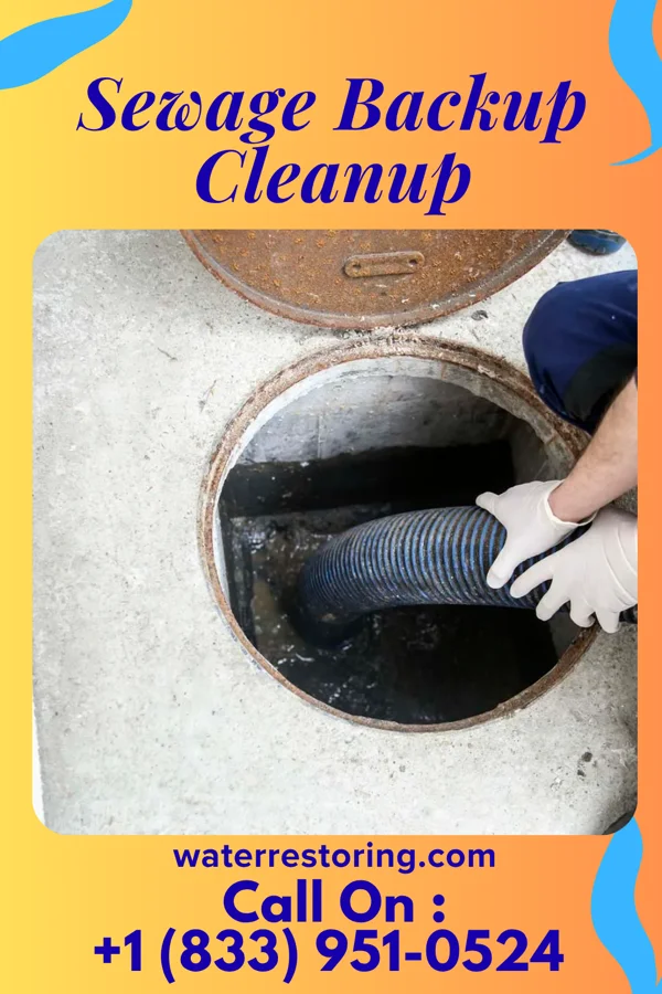 Sewage Backup Cleanup in Ambler, PA