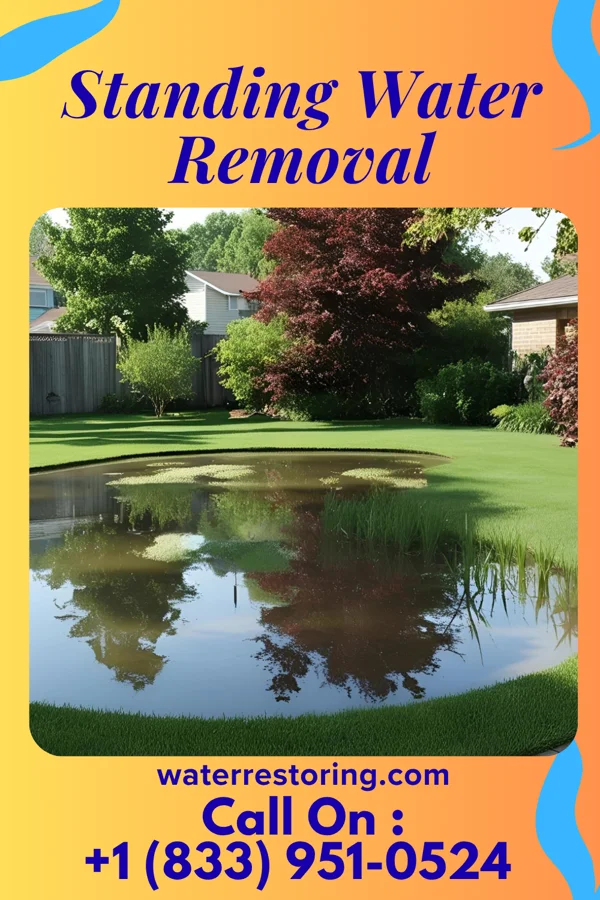 Standing Water Removal in Ambler, PA